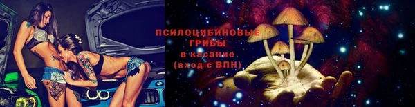 МДПВ Протвино