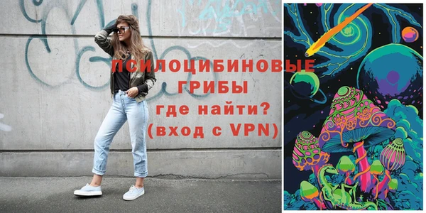 spice Козловка