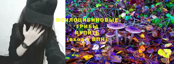 МДПВ Протвино