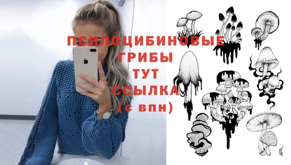 каннабис Приозерск