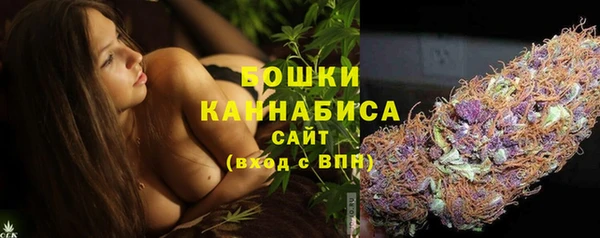 ГАЛЛЮЦИНОГЕННЫЕ ГРИБЫ Краснотурьинск