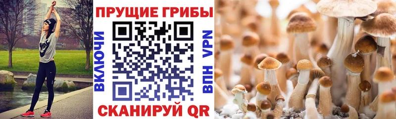 Псилоцибиновые грибы GOLDEN TEACHER  Киренск 